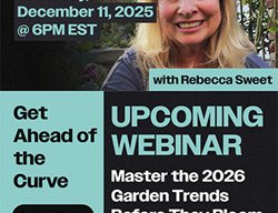 Garden Design
Calimesa, CA