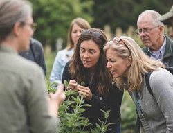 Garden Design
Calimesa, CA