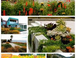 Garden Design
Calimesa, CA