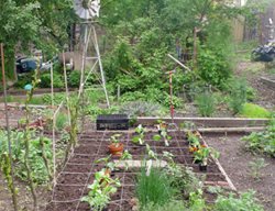 Garden Design
Calimesa, CA