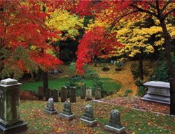 Garden Design
Calimesa, CA