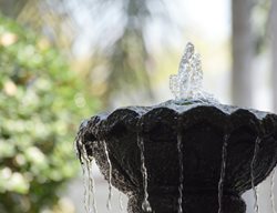 Garden Fountain, Water Feature
Shutterstock.com
New York, NY
