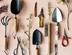 Garden Gear
Garden Design
Calimesa, CA