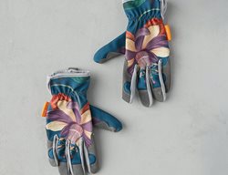 Garden Gloves
Garden Design
Calimesa, CA