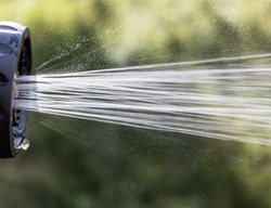 Garden Hose, Watering
Pixabay
