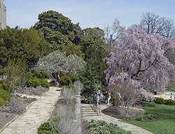 Garden In Early Spring
Garden Design
Calimesa, CA