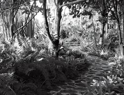 Garden In Punta Canal 
Garden Design
Calimesa, CA