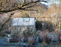 Garden In Winter, Greenhouse
Shutterstock.com
New York, NY