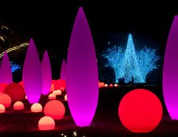 Garden Lights Orbs By James Camp
Garden Design
Calimesa, CA