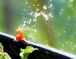 Garden Maintenance
Garden Design
Calimesa, CA