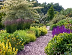 Garden Mulch
Garden Design
Calimesa, CA