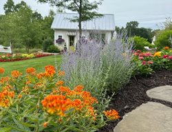 Garden Path
Garden Design
Calimesa, CA