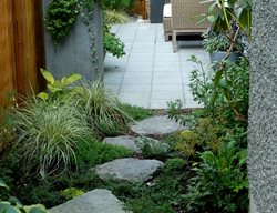 Garden Path, Stepping, Stones
Garden Design
Calimesa, CA