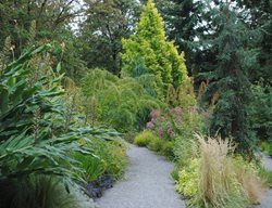Garden Path With Evergreens
Garden Design
Calimesa, CA