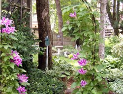Garden Pathway
Garden Design
Calimesa, CA