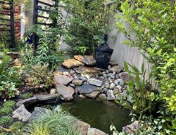 Garden Pond
Alli Guleria
Washington D.C., 