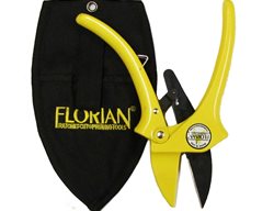 Garden Pruners, Gardening Tools
Garden Design
Calimesa, CA