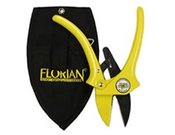  Garden Pruners, Gardening Tools
Garden Design
Calimesa, CA