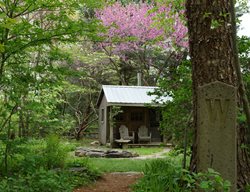 Garden Shed, Fire Circle
Rick Darke LLC
Landenberg, PA