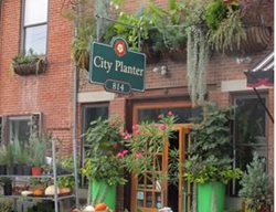 Garden Shops
Garden Design
Calimesa, CA