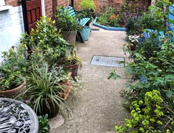 Garden Side Yard, Garden Plants
Garden Design
Calimesa, CA