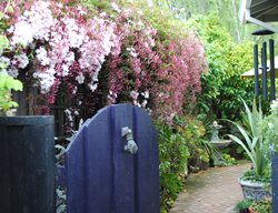 Garden Side Yard With Gate And Path
Garden Design
Calimesa, CA