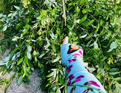 Garden Sleeves
Garden Design
Calimesa, CA