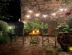 Garden String Lights, Dark Sky
Garden Design
Calimesa, CA