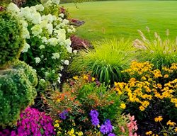 Garden Sunrise
Garden Design
Calimesa, CA