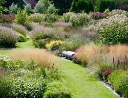 Garden Tour, Garden Travel, Dutch Wave
Garden Design
Calimesa, CA