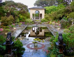 Garden Tour, Garden Travel, Ireland
Garden Design
Calimesa, CA