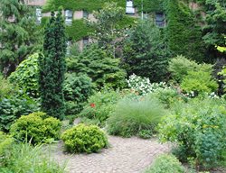 Garden With Evergreen Trees And Shrubs
Garden Design
Calimesa, CA