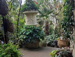 Garden With Large Urn Feature
Garden Design
Calimesa, CA