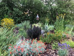 Garden With Perennials And Bird House
Garden Design
Calimesa, CA