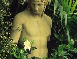Gardenia Flower, Classical Statue
Alamy Stock Photo
Brooklyn, NY