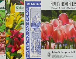 Gardening Catalogs, Winter Planning
Garden Design
Calimesa, CA