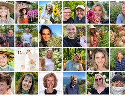 Gardening Friends
Garden Design
Calimesa, CA