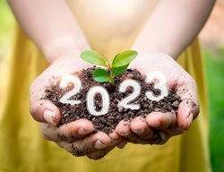 Gardening In 2023
Garden Design
Calimesa, CA