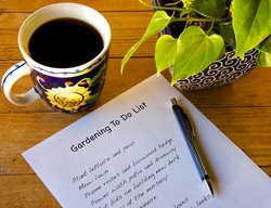 Gardening, To Do List
Garden Design
Calimesa, CA