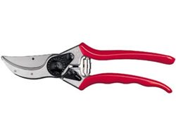 Gardening Tools, Pruner
Garden Design
Calimesa, CA