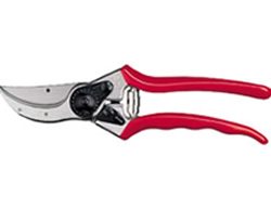 Gardening Tools, Pruner
Garden Design
Calimesa, CA