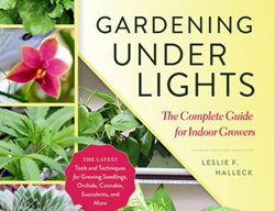 Gardening Under Lights
Garden Design
Calimesa, CA