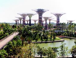 Gardens-By-The-Bay-Supertrees
Garden Design
Calimesa, CA