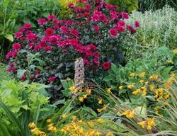 Gardens, Global Warming
Garden Design
Calimesa, CA