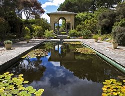 Gardens Of Ireland Tour
Garden Design
Calimesa, CA