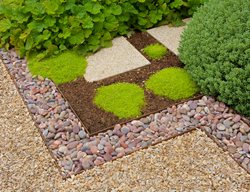 Geometric Garden Path
Garden Design
Calimesa, CA