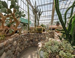 Get To A Greenhouse
Garden Design
Calimesa, CA