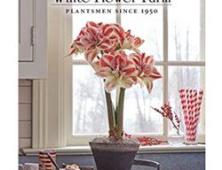 Get Your Plant Catalogs & Start Shopping
Garden Design
Calimesa, CA