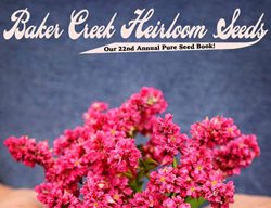 Get Your Seed & Plant Catalogs
Garden Design
Calimesa, CA