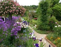 Giverny Garden, French Garden, Travel
Garden Design
Calimesa, CA
